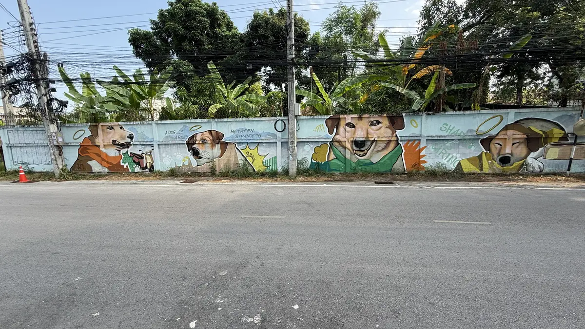 Murals of dogs painted along a whitewashed soi wall in Jed Yod, Chiang Mai, with banana trees behind